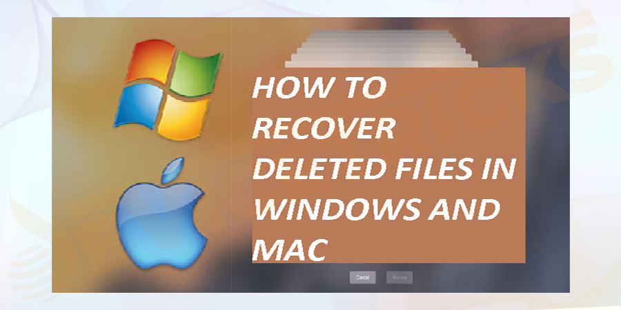 recover mac files on windows